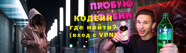 spice Богородицк