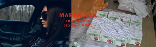spice Богородицк