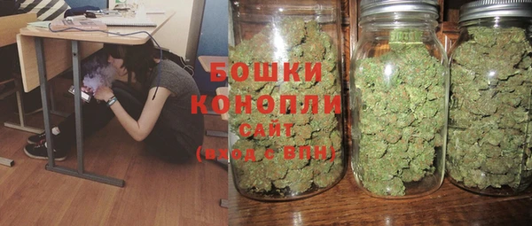 твердый Богданович