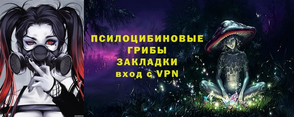 spice Богородицк